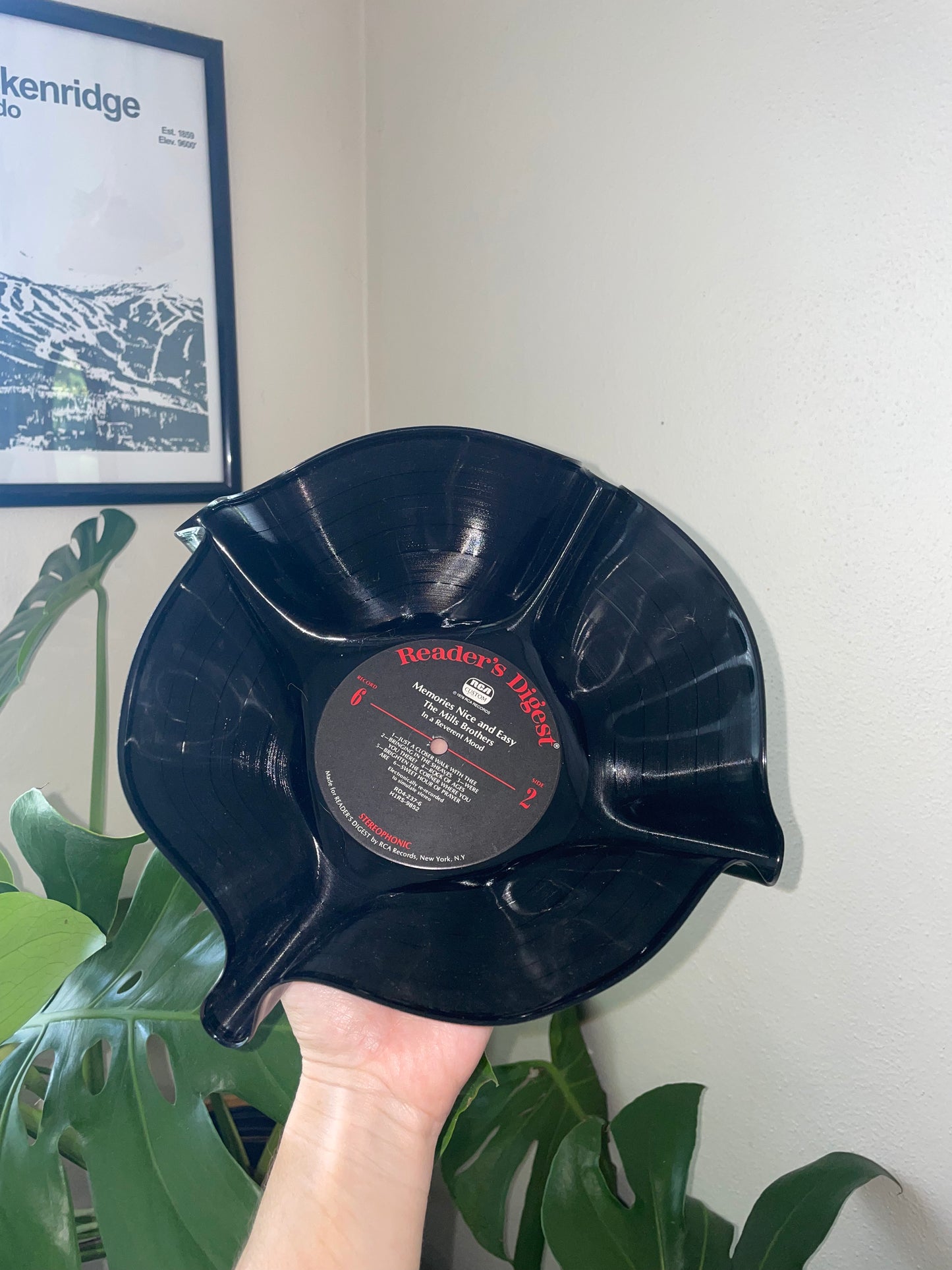 Upcycled Vinyl Bowl