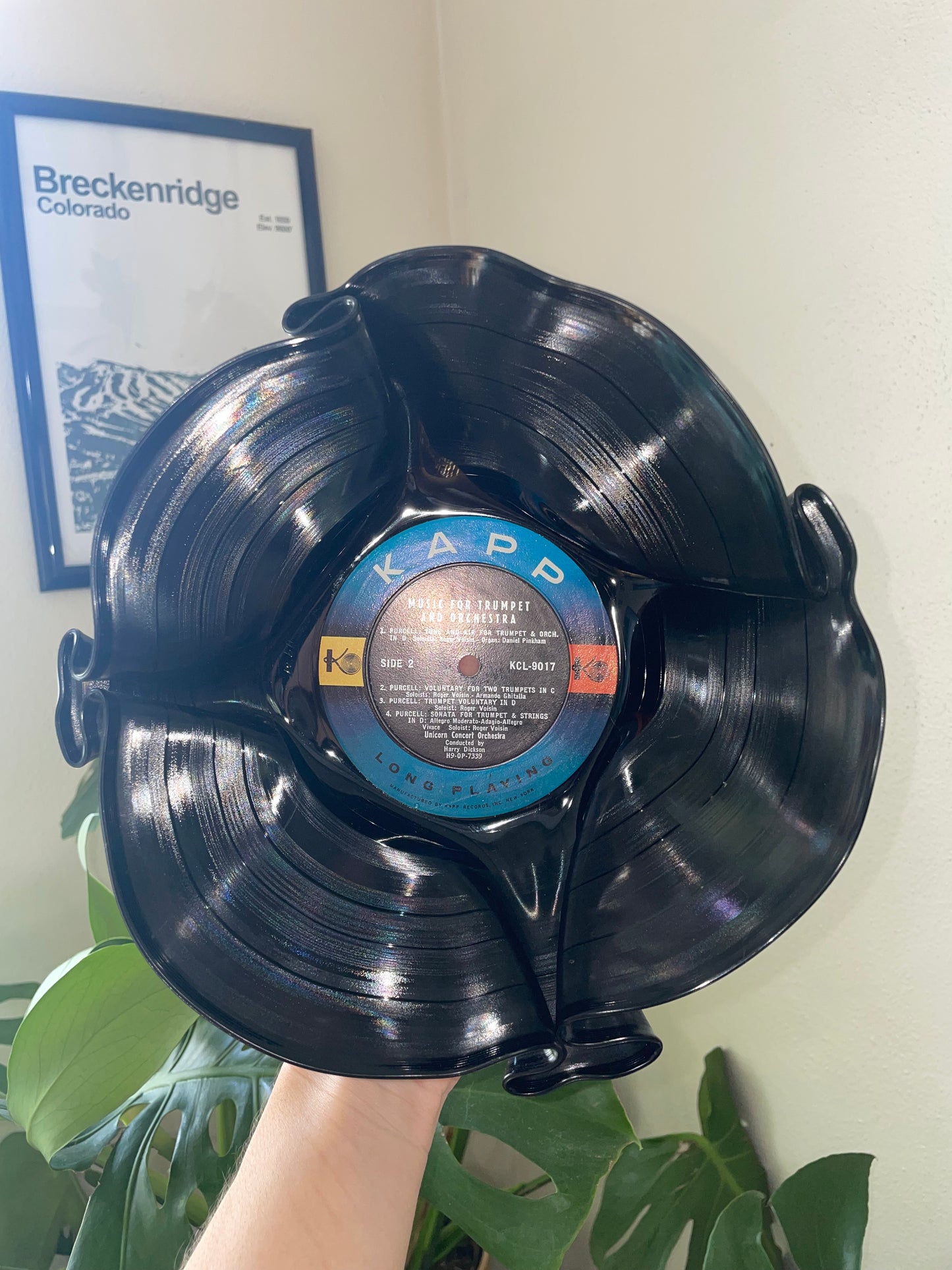 Upcycled Vinyl Bowl